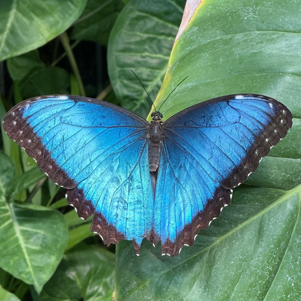 Meet your Posher, Keren